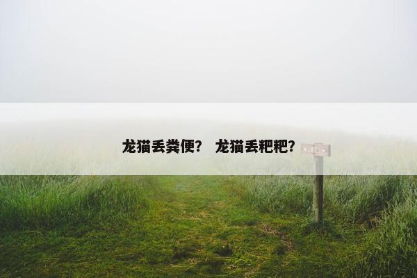 龙猫丢粪便? 龙猫丢粑粑? 龙猫丢粪便? 龙猫丢粑粑?