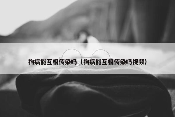 狗病能互相传染吗（狗病能互相传染吗视频）