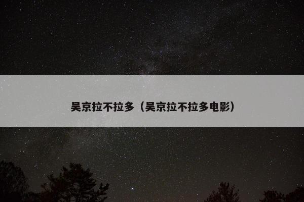 吴京拉不拉多（吴京拉不拉多电影）
