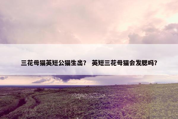 三花母猫英短公猫生出？ 英短三花母猫会发腮吗？
