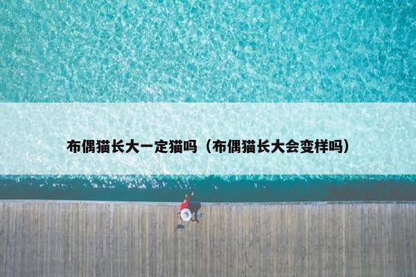 布偶猫长大一定猫吗（布偶猫长大会变样吗）