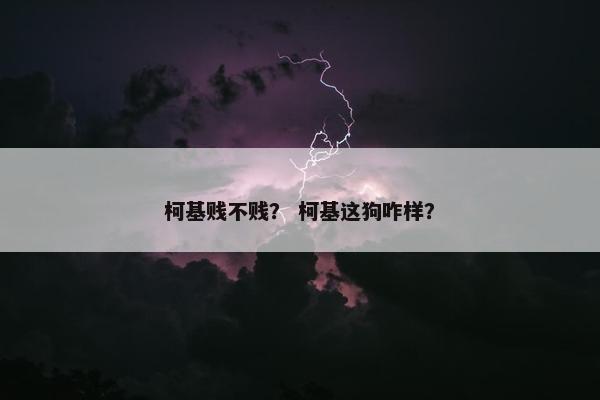 柯基贱不贱？ 柯基这狗咋样？