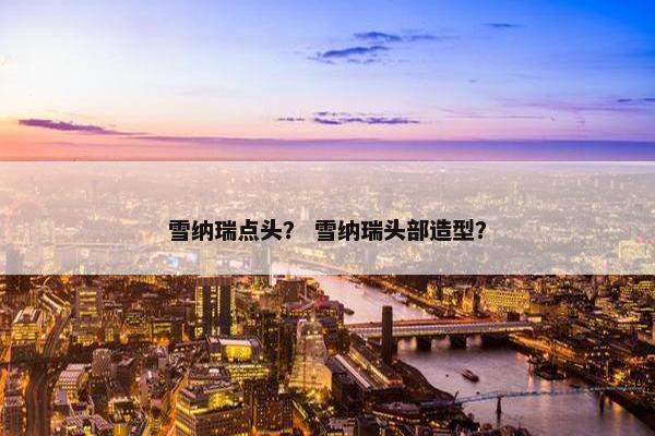 雪纳瑞点头？ 雪纳瑞头部造型？