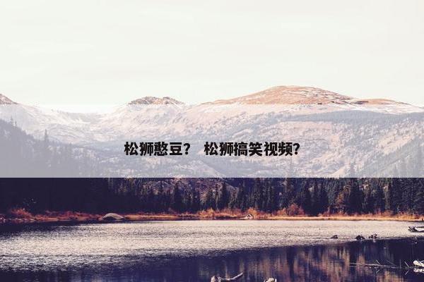 松狮憨豆？ 松狮搞笑视频？