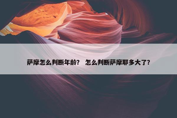 萨摩怎么判断年龄? 怎么判断萨摩耶多大了? 萨摩怎么判断年龄? 怎么判断萨摩耶多大了?