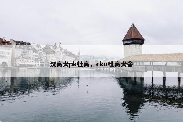汉高犬pk杜高，cku杜高犬舍