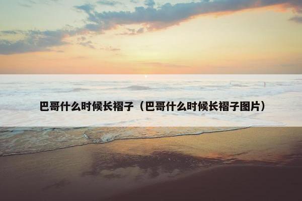 巴哥什么时候长褶子(巴哥什么时候长褶子图片)