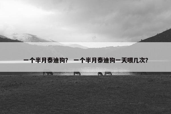 一个半月泰迪狗？ 一个半月泰迪狗一天喂几次？