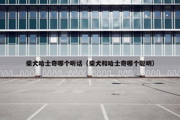 柴犬哈士奇哪个听话(柴犬和哈士奇哪个聪明) 柴犬哈士奇哪个听话(柴犬和哈士奇哪个聪明)