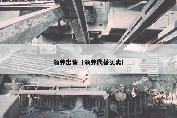 领养出售（领养代替买卖）