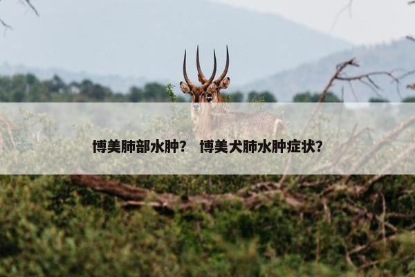 博美肺部水肿？ 博美犬肺水肿症状？