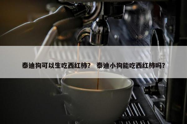 泰迪狗可以生吃西红柿? 泰迪小狗能吃西红柿吗?