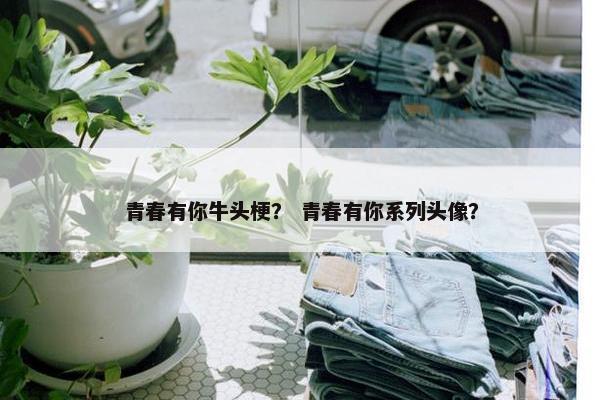 青春有你牛头梗？ 青春有你系列头像？
