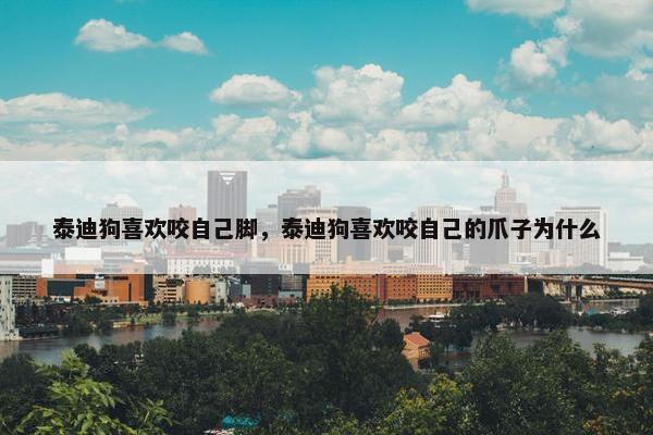 泰迪狗喜欢咬自己脚，泰迪狗喜欢咬自己的爪子为什么