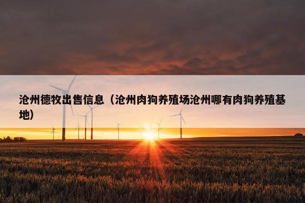 沧州德牧出售信息（沧州肉狗养殖场沧州哪有肉狗养殖基地）