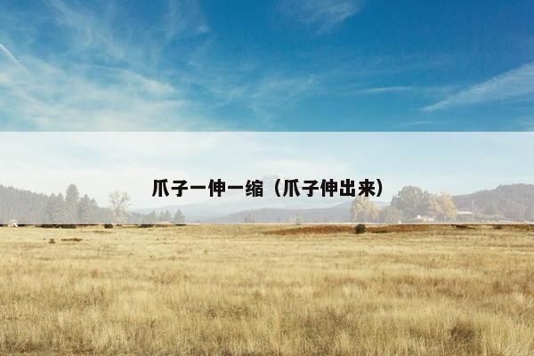 爪子一伸一缩（爪子伸出来）