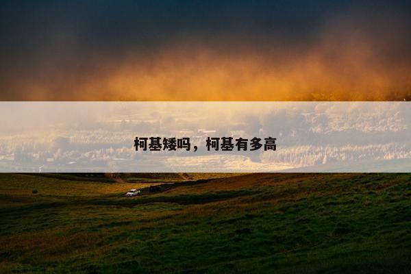 柯基矮吗，柯基有多高