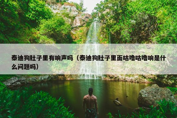 泰迪狗肚子里有响声吗(泰迪狗肚子里面咕噜咕噜响是什么问题吗)