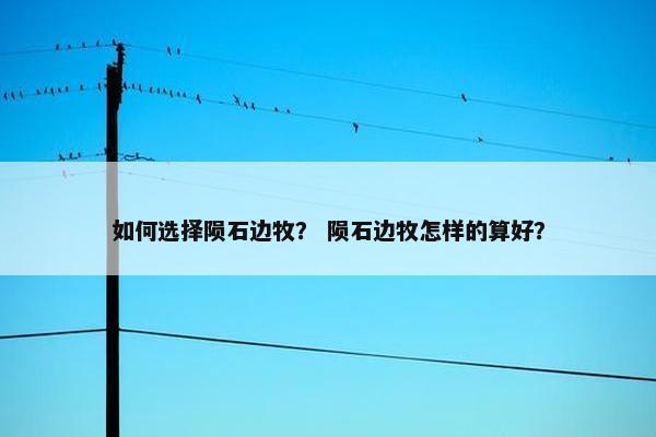 如何选择陨石边牧? 陨石边牧怎样的算好? 如何选择陨石边牧? 陨石边牧怎样的算好?