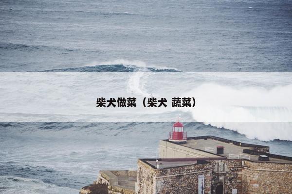 柴犬做菜(柴犬 蔬菜)