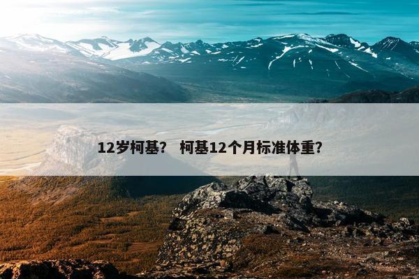 12岁柯基？ 柯基12个月标准体重？