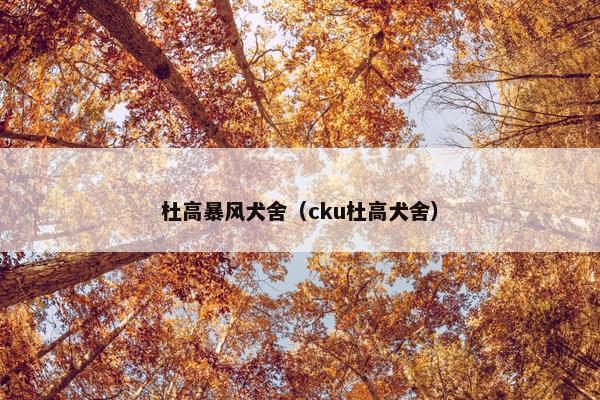 杜高暴风犬舍（cku杜高犬舍）