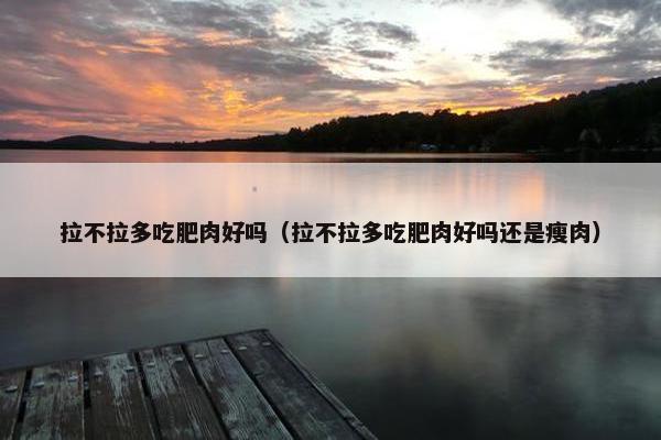 拉不拉多吃肥肉好吗（拉不拉多吃肥肉好吗还是瘦肉）