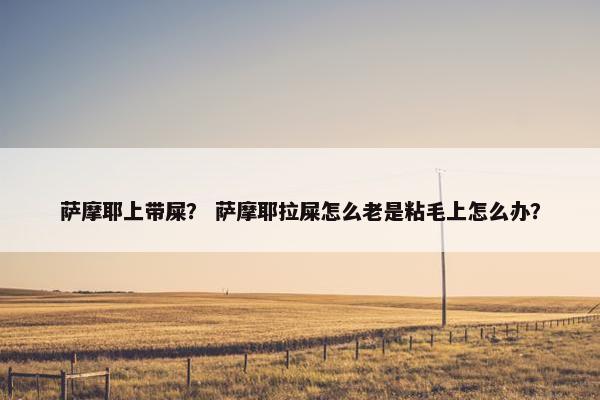 萨摩耶上带屎？ 萨摩耶拉屎怎么老是粘毛上怎么办？