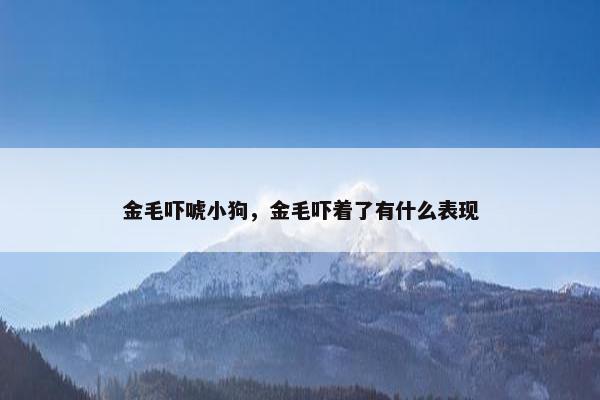 金毛吓唬小狗，金毛吓着了有什么表现