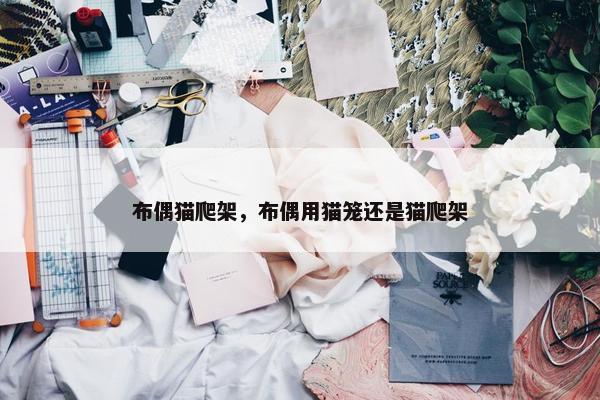 布偶猫爬架，布偶用猫笼还是猫爬架