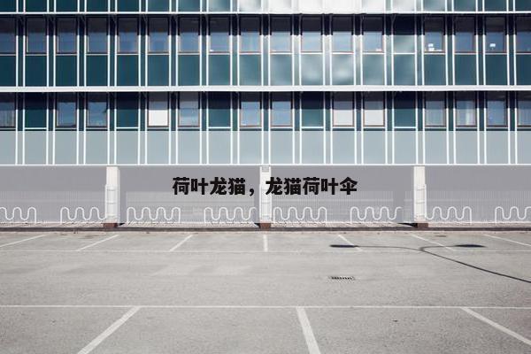 荷叶龙猫,龙猫荷叶伞 荷叶龙猫,龙猫荷叶伞