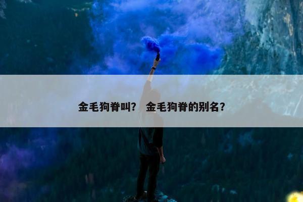 金毛狗脊叫? 金毛狗脊的别名?