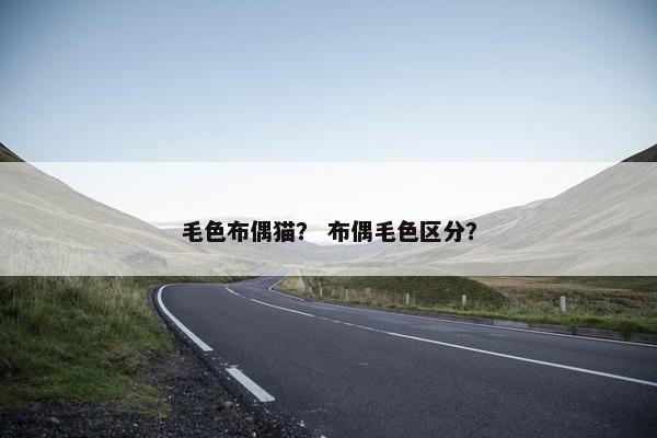 毛色布偶猫？ 布偶毛色区分？