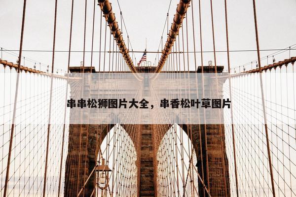 串串松狮图片大全，串香松叶草图片