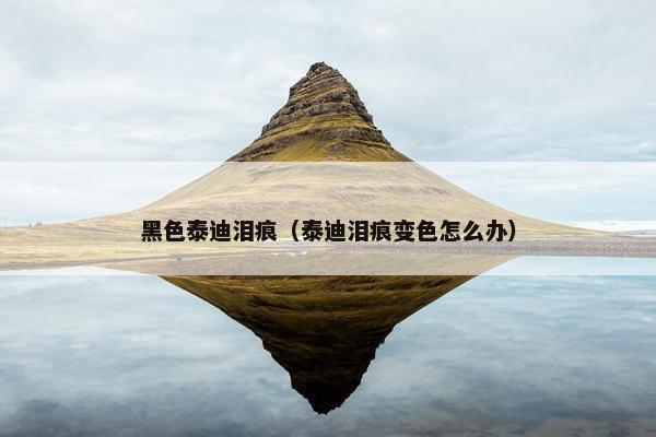 黑色泰迪泪痕（泰迪泪痕变色怎么办）