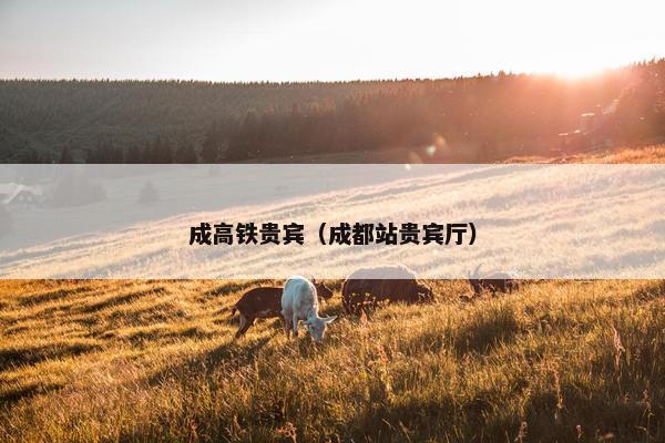 成高铁贵宾(成都站贵宾厅)