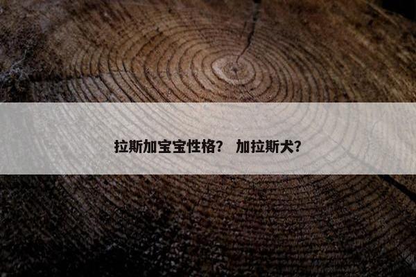 拉斯加宝宝性格？ 加拉斯犬？