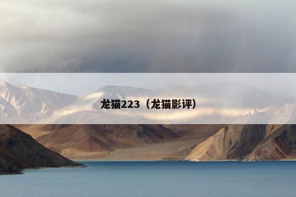 龙猫223（龙猫影评）
