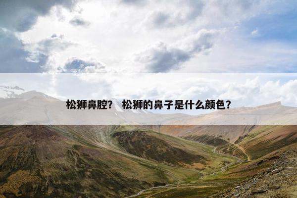 松狮鼻腔？ 松狮的鼻子是什么颜色？
