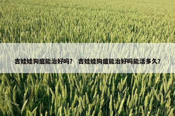 吉娃娃狗瘟能治好吗？ 吉娃娃狗瘟能治好吗能活多久？