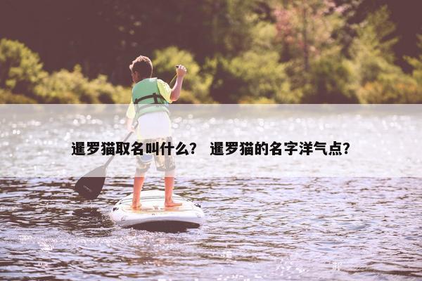 暹罗猫取名叫什么？ 暹罗猫的名字洋气点？