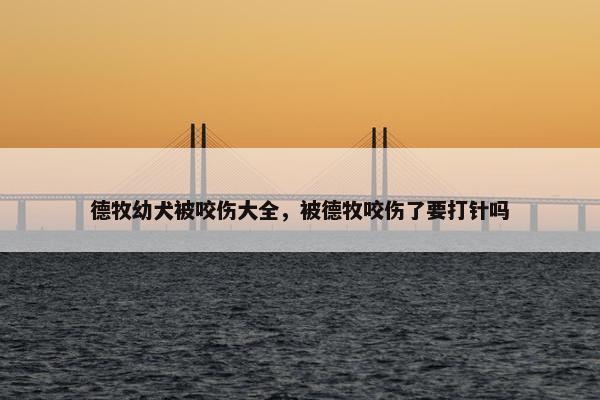 德牧幼犬被咬伤大全，被德牧咬伤了要打针吗