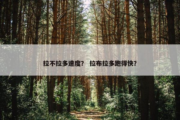 拉不拉多速度？ 拉布拉多跑得快？