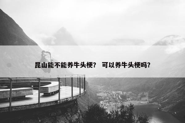 昆山能不能养牛头梗？ 可以养牛头梗吗？
