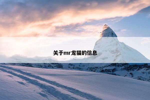 关于mr龙猫的信息