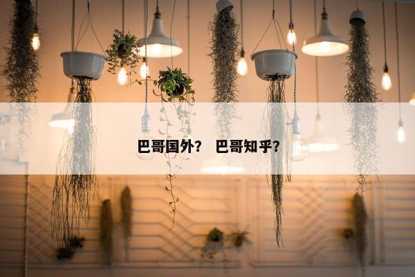 巴哥国外？ 巴哥知乎？