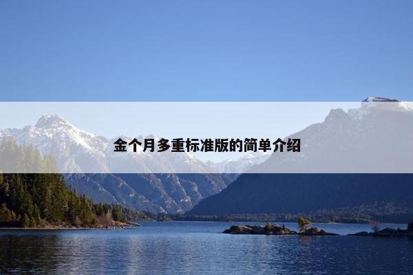 金个月多重标准版的简单介绍
