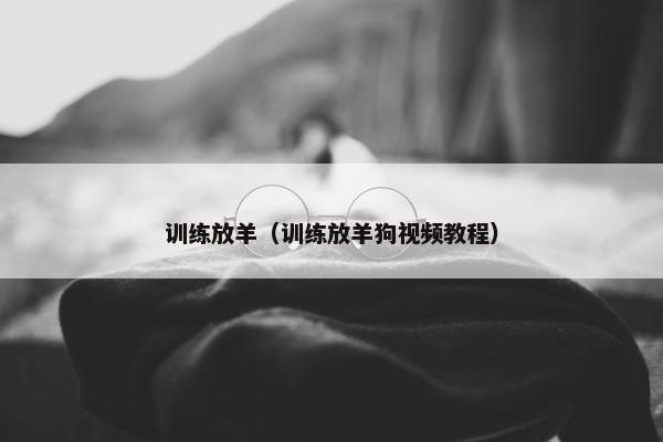 训练放羊（训练放羊狗视频教程）