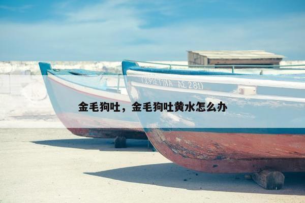 金毛狗吐，金毛狗吐黄水怎么办
