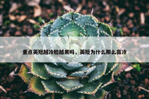 重点英短越冷脸越黑吗，英短为什么那么高冷